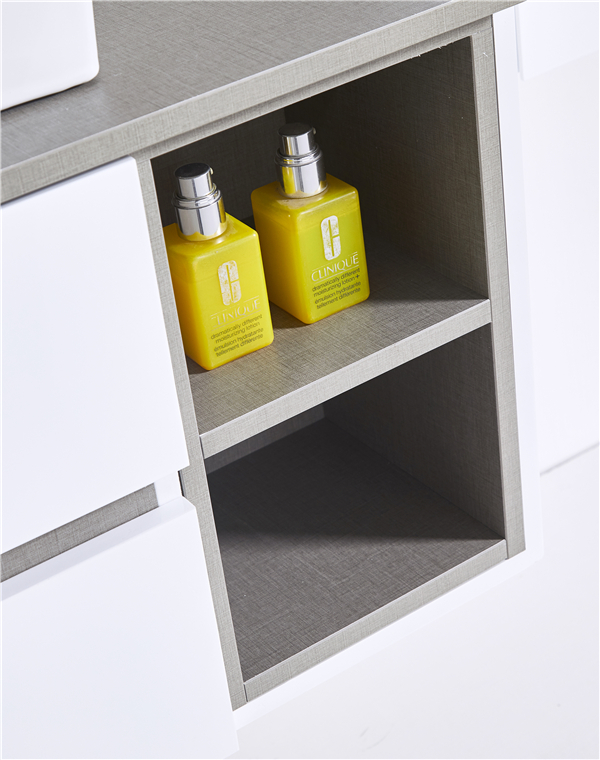 mobiletto dei servizi igienici GGP49